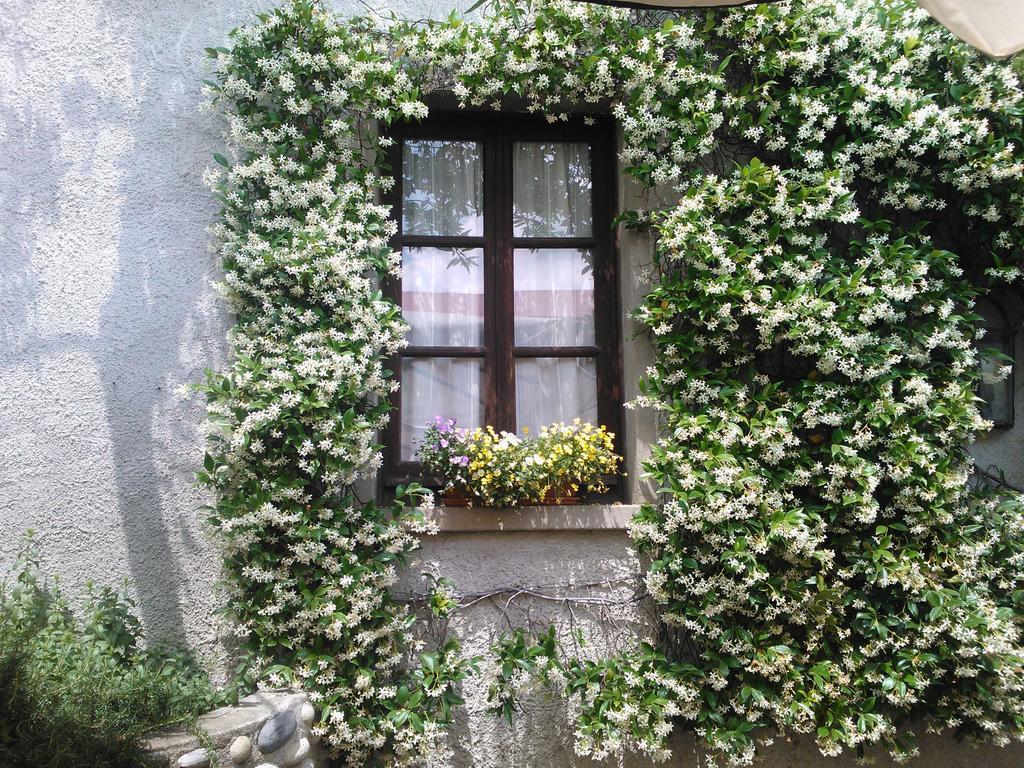 Agriturismo Cassinazza Orsenigo Habitación foto